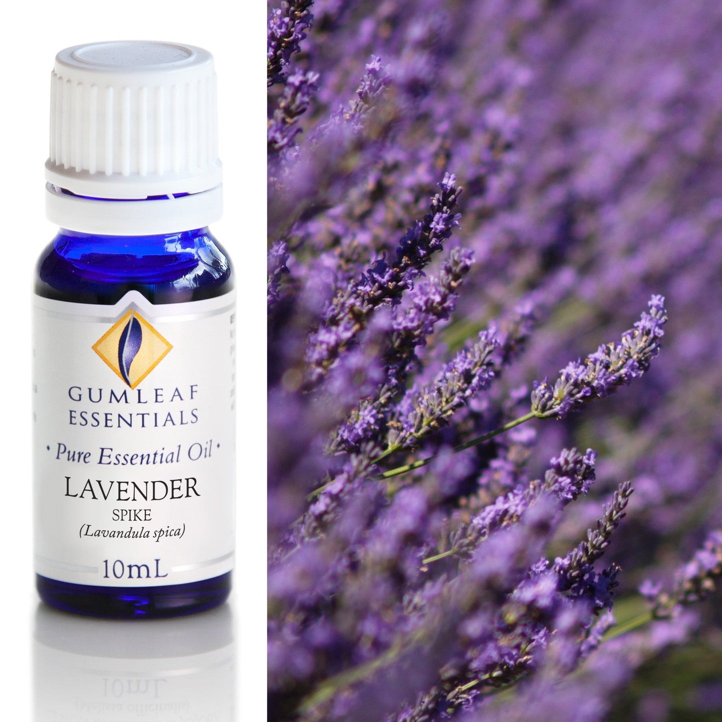 Gumleaf Essentials Lavender Spike 10ml