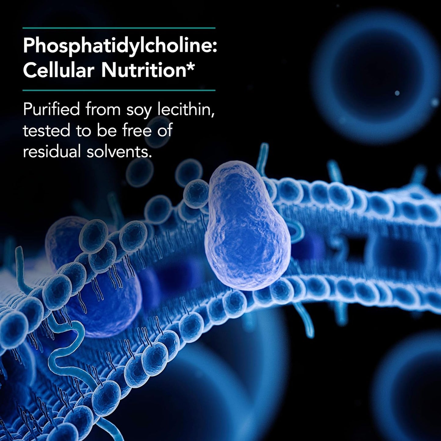 Nutri Cology Phosphatidyl Choline 100