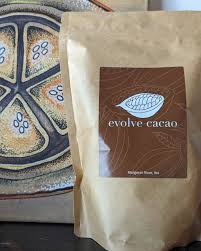 Evolve Cacao Paste 500g