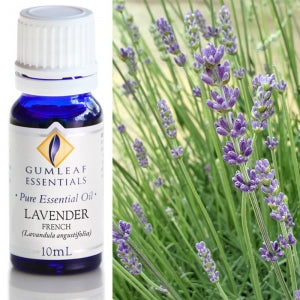 Gumleaf Essentials Lavender French 10ml