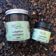 Plant Essentials Comfrey Ointment 50g
