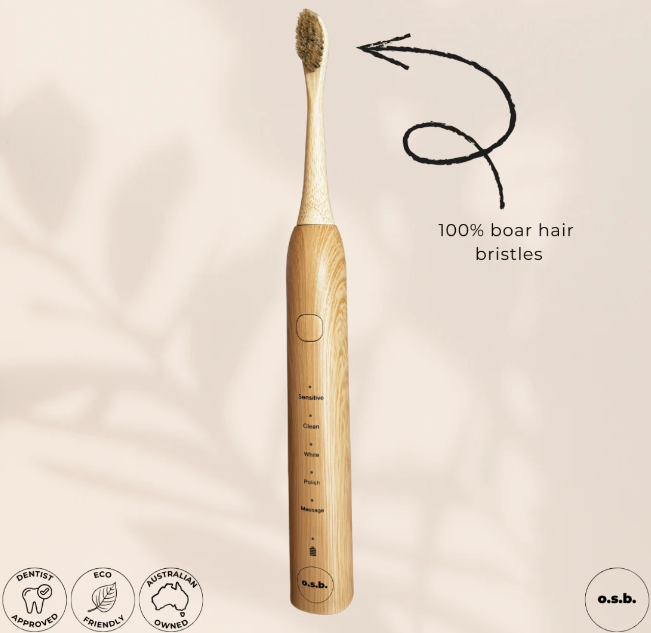 Oh So Bamboo Eco-Electric Toothbrush Boar Hair 2 brushes Kit