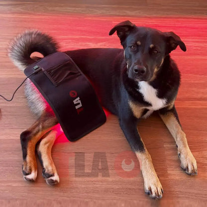 Therapy Lights TLA Pad 3 Red and Infrared LED Light Pad