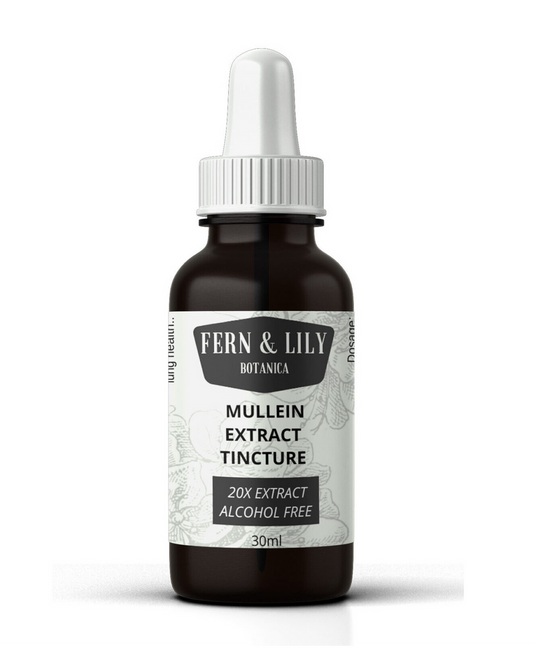 Fern and Lily Mullein Extract Tincture 30ml